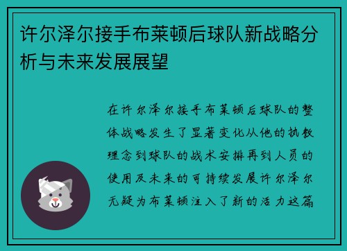 许尔泽尔接手布莱顿后球队新战略分析与未来发展展望
